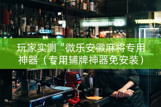 玩家实测“微乐安徽麻将专用神器（专用辅牌神器免安装）