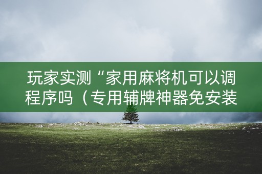 玩家实测“家用麻将机可以调程序吗（专用辅牌神器免安装）