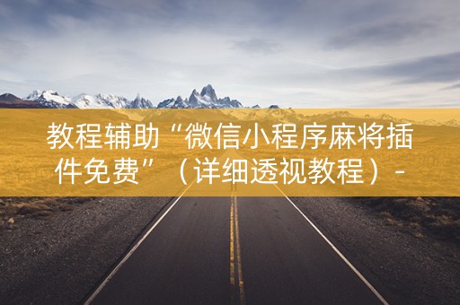 教程辅助“微信小程序麻将插件免费”（详细透视教程）-哔哩哔哩