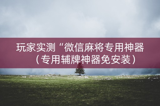 玩家实测“微信麻将专用神器（专用辅牌神器免安装）