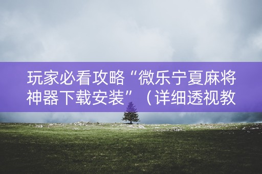 玩家必看攻略“微乐宁夏麻将神器下载安装”（详细透视教程）-哔哩哔哩