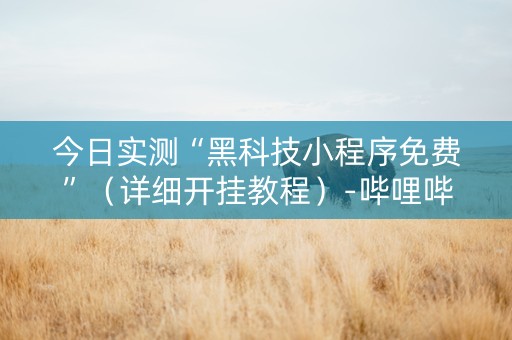 今日实测“黑科技小程序免费”（详细开挂教程）-哔哩哔哩
