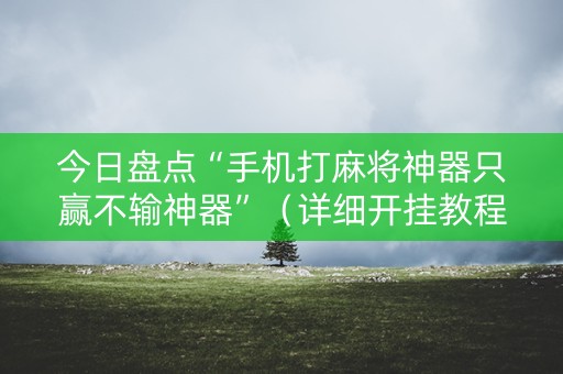 今日盘点“手机打麻将神器只赢不输神器”（详细开挂教程）-哔哩哔哩