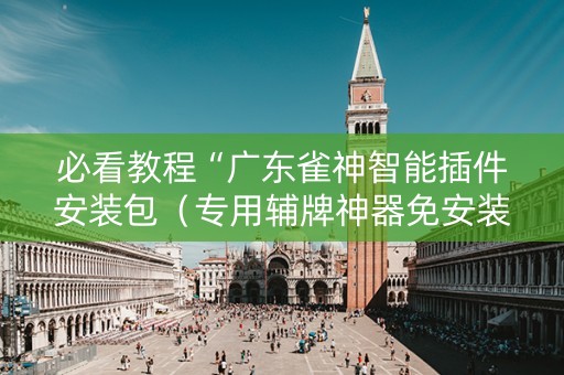 必看教程“广东雀神智能插件安装包（专用辅牌神器免安装）