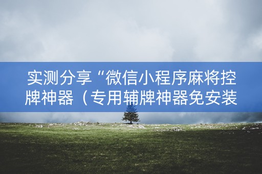 实测分享“微信小程序麻将控牌神器（专用辅牌神器免安装）