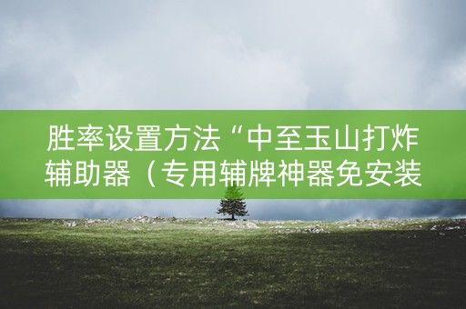 胜率设置方法“中至玉山打炸辅助器（专用辅牌神器免安装）