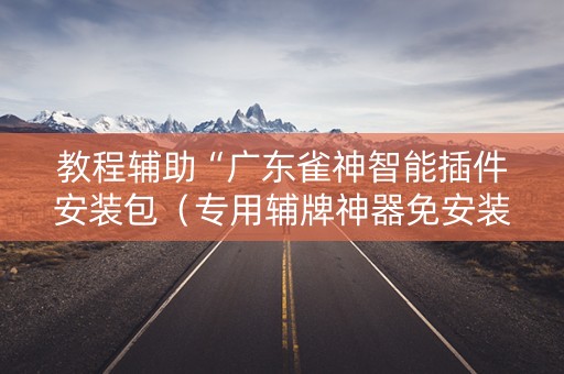 教程辅助“广东雀神智能插件安装包（专用辅牌神器免安装）