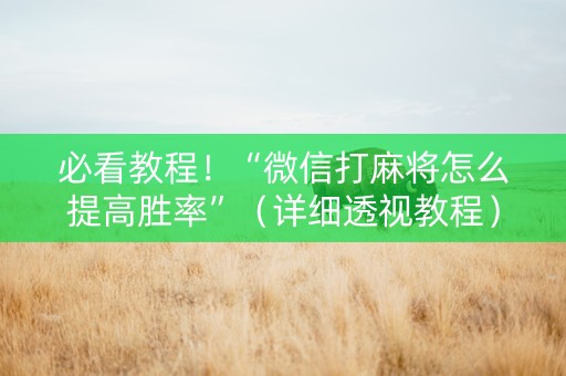 必看教程！“微信打麻将怎么提高胜率”（详细透视教程）-哔哩哔哩