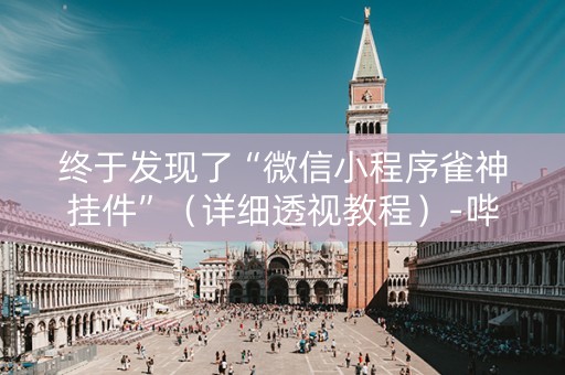 终于发现了“微信小程序雀神挂件”（详细透视教程）-哔哩哔哩