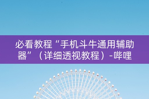 必看教程“手机斗牛通用辅助器”（详细透视教程）-哔哩哔哩