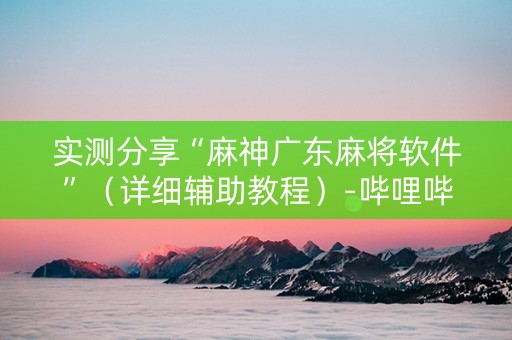 实测分享“麻神广东麻将软件”（详细辅助教程）-哔哩哔哩