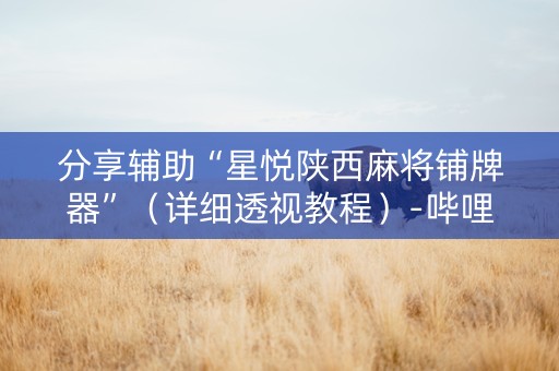 分享辅助“星悦陕西麻将铺牌器”（详细透视教程）-哔哩哔哩