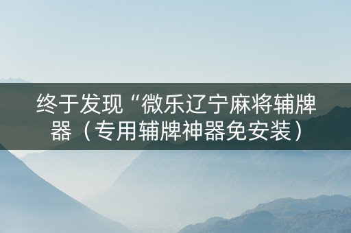 终于发现“微乐辽宁麻将辅牌器（专用辅牌神器免安装）