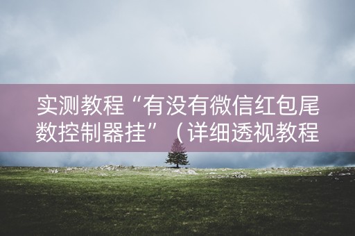 实测教程“有没有微信红包尾数控制器挂”（详细透视教程）-哔哩哔哩