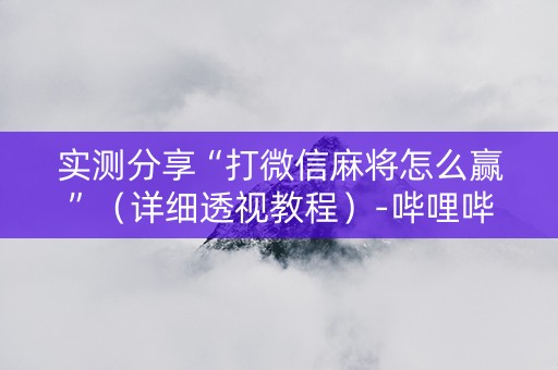 实测分享“打微信麻将怎么赢”（详细透视教程）-哔哩哔哩