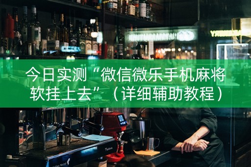今日实测“微信微乐手机麻将软挂上去”（详细辅助教程）-哔哩哔哩