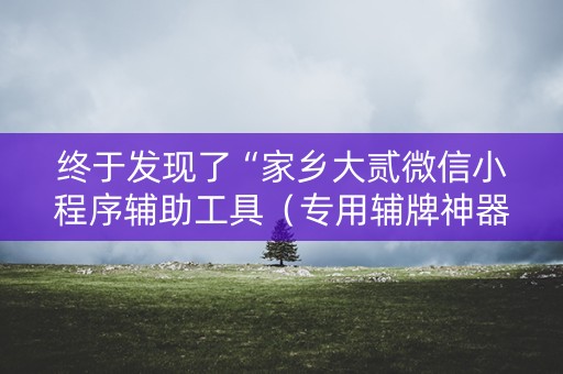 终于发现了“家乡大贰微信小程序辅助工具（专用辅牌神器免安装）