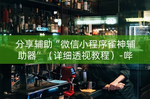 分享辅助“微信小程序雀神辅助器”（详细透视教程）-哔哩哔哩
