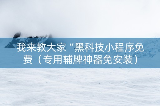 我来教大家“黑科技小程序免费（专用辅牌神器免安装）