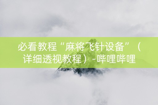 必看教程“麻将飞针设备”（详细透视教程）-哔哩哔哩