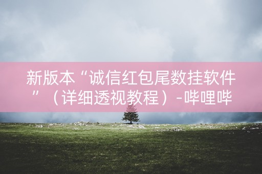 新版本“诚信红包尾数挂软件”（详细透视教程）-哔哩哔哩