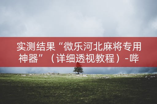 实测结果“微乐河北麻将专用神器”（详细透视教程）-哔哩哔哩