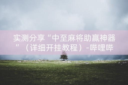 实测分享“中至麻将助赢神器”（详细开挂教程）-哔哩哔哩