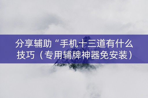 分享辅助“手机十三道有什么技巧（专用辅牌神器免安装）