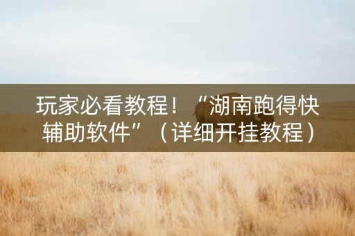 玩家必看教程！“湖南跑得快辅助软件”（详细开挂教程）-哔哩哔哩