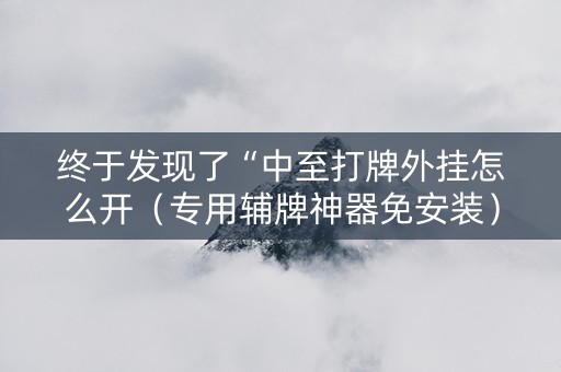 终于发现了“中至打牌外挂怎么开（专用辅牌神器免安装）