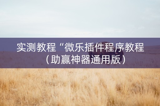 实测教程“微乐插件程序教程（助赢神器通用版）