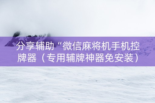 分享辅助“微信麻将机手机控牌器（专用辅牌神器免安装）