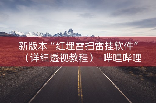 新版本“红埋雷扫雷挂软件”（详细透视教程）-哔哩哔哩