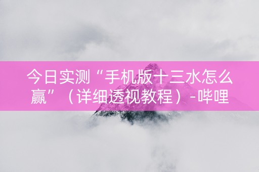 今日实测“手机版十三水怎么赢”（详细透视教程）-哔哩哔哩