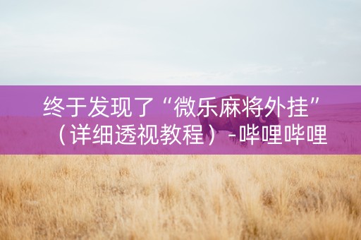 终于发现了“微乐麻将外挂”（详细透视教程）-哔哩哔哩