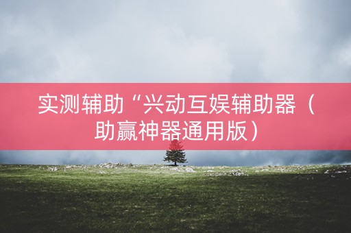 实测辅助“兴动互娱辅助器（助赢神器通用版）
