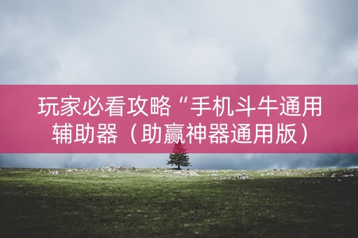 玩家必看攻略“手机斗牛通用辅助器（助赢神器通用版）