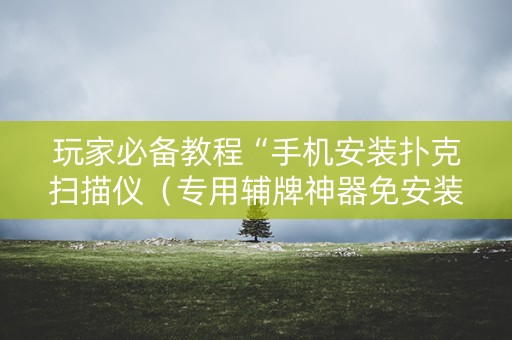 玩家必备教程“手机安装扑克扫描仪（专用辅牌神器免安装）