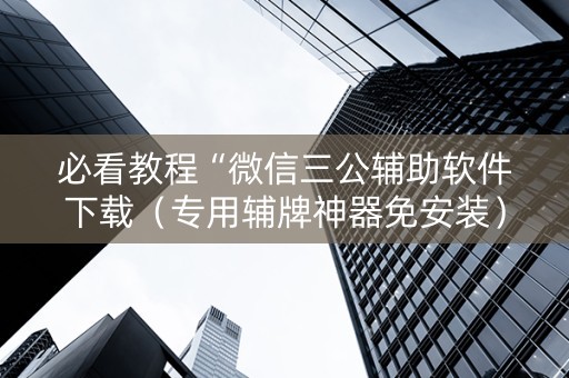 必看教程“微信三公辅助软件下载（专用辅牌神器免安装）
