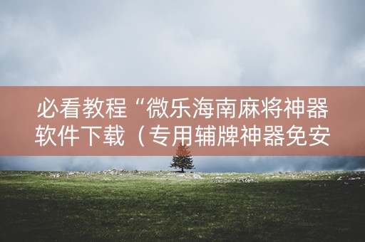 必看教程“微乐海南麻将神器软件下载（专用辅牌神器免安装）