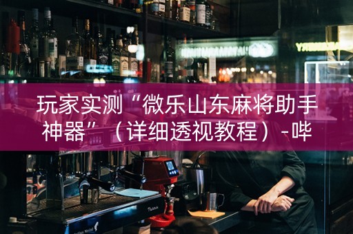 玩家实测“微乐山东麻将助手神器”（详细透视教程）-哔哩哔哩