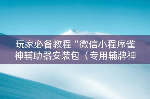 玩家必备教程“微信小程序雀神辅助器安装包（专用辅牌神器免安装）