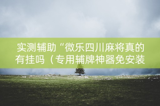 实测辅助“微乐四川麻将真的有挂吗（专用辅牌神器免安装）