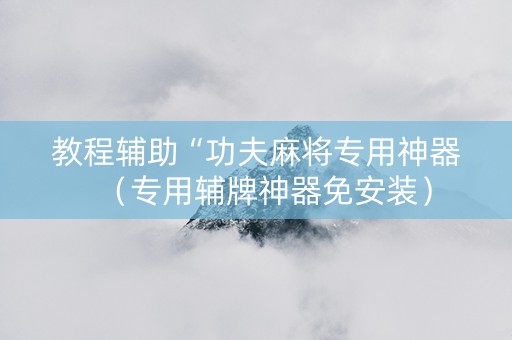 教程辅助“功夫麻将专用神器（专用辅牌神器免安装）