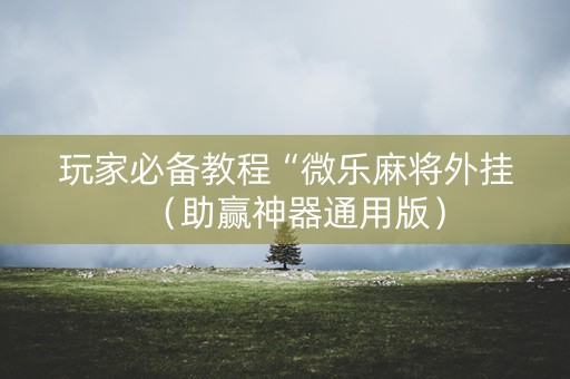 玩家必备教程“微乐麻将外挂（助赢神器通用版）