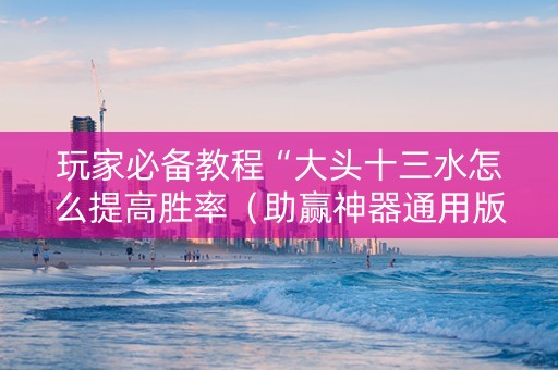 玩家必备教程“大头十三水怎么提高胜率（助赢神器通用版）