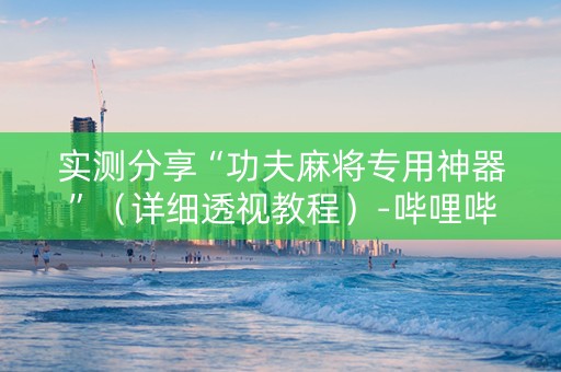实测分享“功夫麻将专用神器”（详细透视教程）-哔哩哔哩