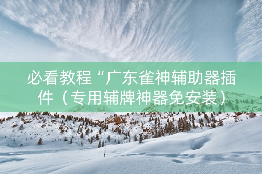 必看教程“广东雀神辅助器插件（专用辅牌神器免安装）