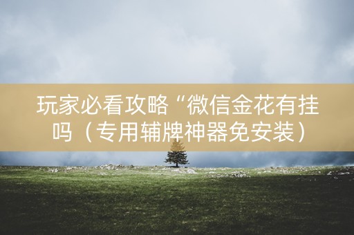 玩家必看攻略“微信金花有挂吗（专用辅牌神器免安装）