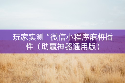 玩家实测“微信小程序麻将插件（助赢神器通用版）